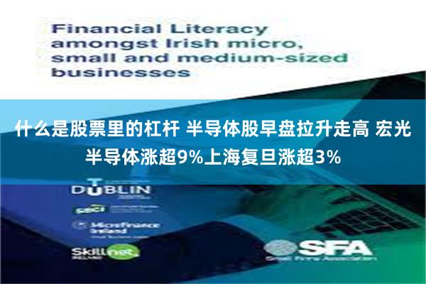 什么是股票里的杠杆 半导体股早盘拉升走高 宏光半导体涨超9%上海复旦涨超3%