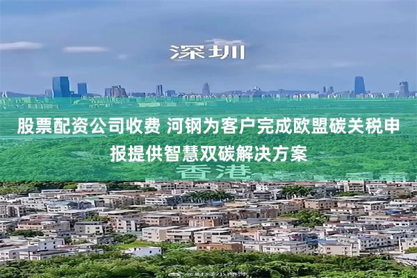 股票配资公司收费 河钢为客户完成欧盟碳关税申报提供智慧双碳解决方案