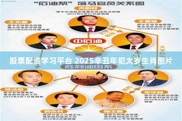 股票配资学习平台 2025辛丑年犯太岁生肖图片