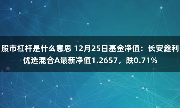 股市杠杆是什么意思 12月25日基金净值：长安鑫利优选混合A最新净值1.2657，跌0.71%