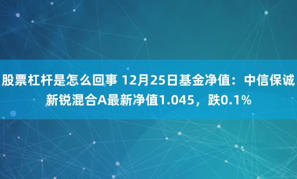 股票杠杆是怎么回事 12月25日基金净值：中信保诚新锐混合A最新净值1.045，跌0.1%