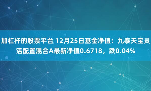 加杠杆的股票平台 12月25日基金净值：九泰天宝灵活配置混合A最新净值0.6718，跌0.04%