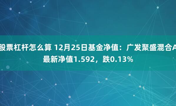 股票杠杆怎么算 12月25日基金净值：广发聚盛混合A最新净值1.592，跌0.13%